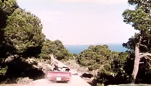 Горячий секс на Ибице (1982)