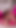 Zuzu Sweet Squirting in Ripped Pink Fishnet Pantyhose