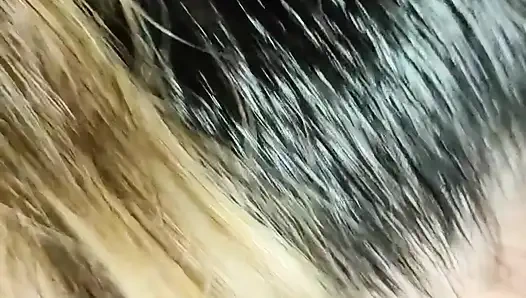 Я пошел на поездку в машине, и мне казалось, пососать его член