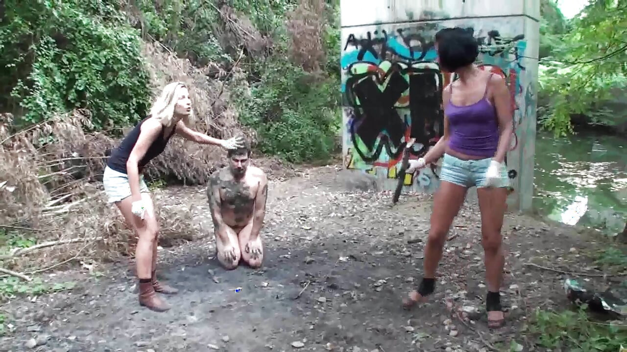 Trío de mascotas jugando