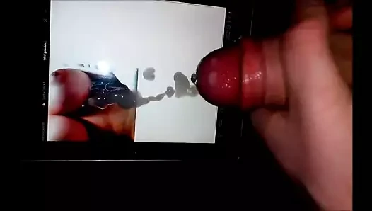 Tribute zisina