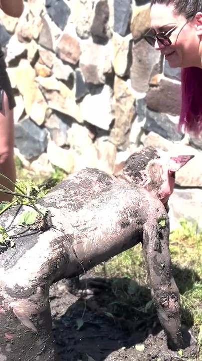 Piggy Humiliation in Mud, Playing with Nettles and Licking Our Feet Nice and Clean