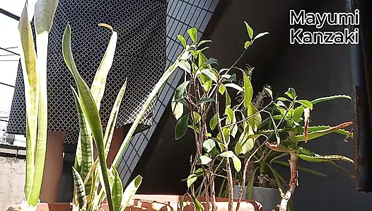 Buang Air Kecil Di Tanaman Pot