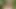 Sloppy Deepthroats, Blowjob and Ball Licking in the Forest - Luna Doll