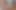 Dörtlü Latin üniversite öğrencisi tarafından ateşli derin oral seks seansı