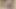 Apex Legends – Wattson Blowjob (Animation With Sound)