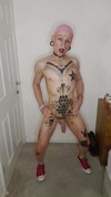 Pregled videozapisa