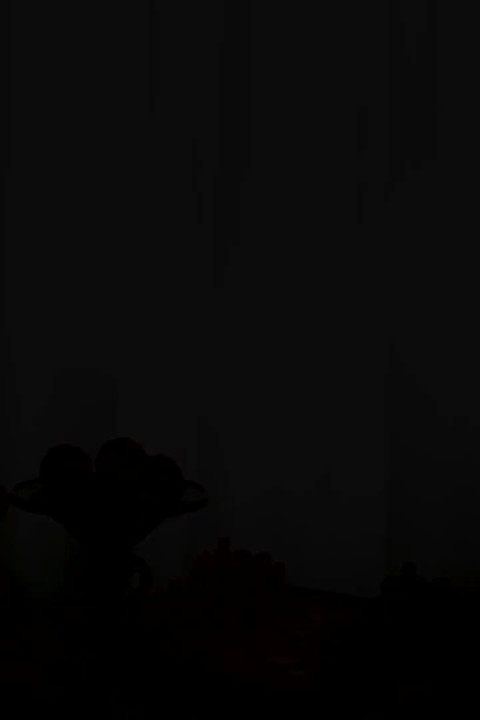 Mistress Carmen & Goddess Lisey share many big black cocks in fornt of cuckolds