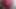 HUGE MORNING RED BULK BULGES OF WELL HANGED SHAME MALE