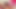 Tiktok Sluts Love Eating Ass And Sucking Cock!