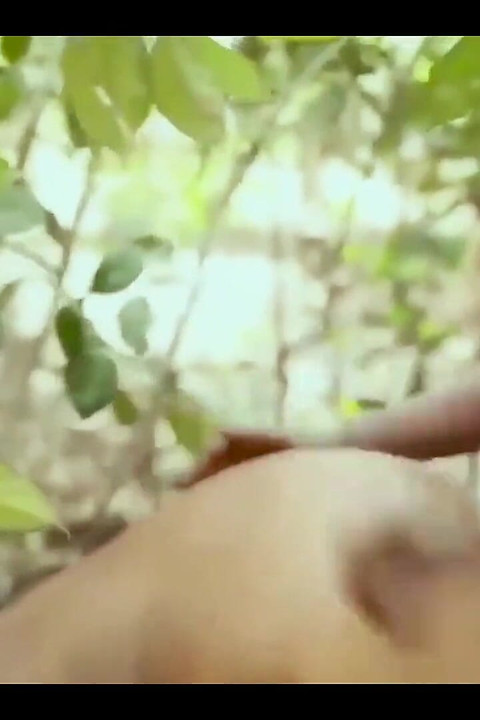 BBW Sex - Chubby Boss Wife Got F Uck in the Bush by Common Driver