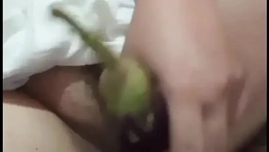 Aubergine-muschi spielen