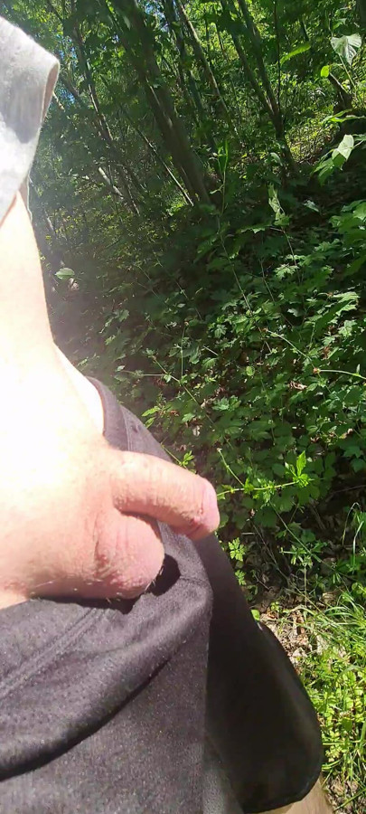 Flashing dick in wood