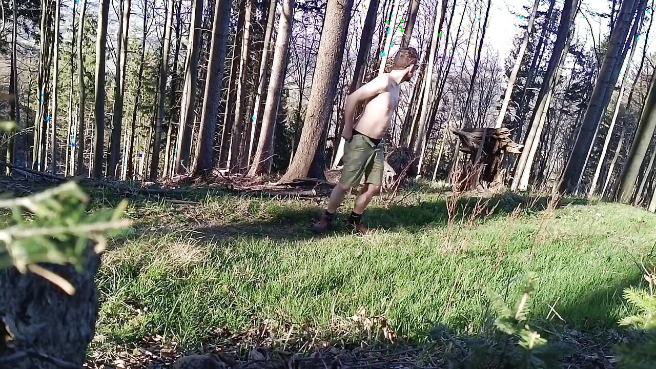 Bogel dalam Hutan