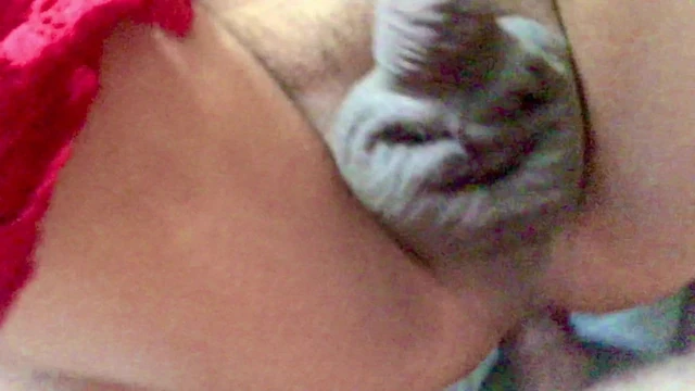 Daddy fucks me