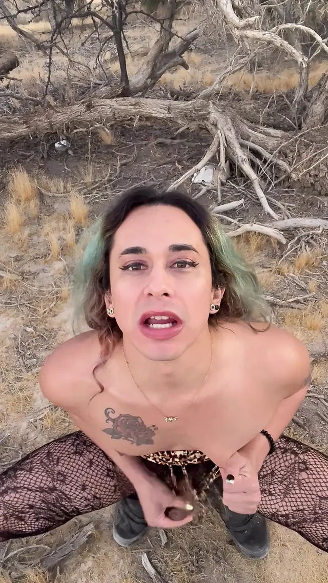 Desert Fun