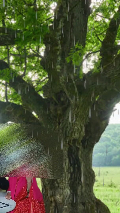 "젖은 밤에 숲에서 새엄마와 함께, 1부"