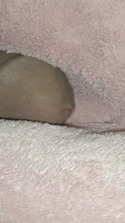 Morate vidjeti trenutak iz "Two Cum Continue - Alone Boy Masturbating"