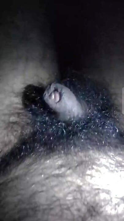 Pula mea este flămândă după pizdă și cur
