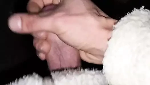 gece sürücüsü
