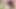 Slender Trans Ria Bentley Craving An Anal Creampie