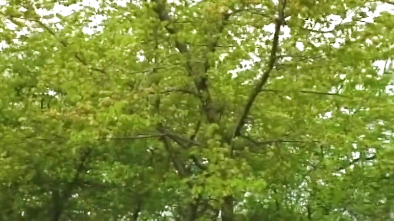 Blonde Amateur Takes Cock on Outdoor Roof