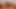 Seksi öğrenciler evde birlikte öğreniyor