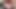 大きなおっぱい金髪三人組のお尻クソお尻運指