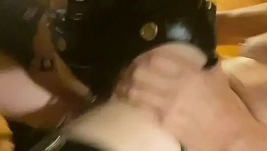 Lara любит сидеть на хозяйке своей хозяйки