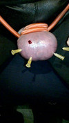 Pregled videozapisa
