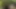 Park porn video – Chinese Girl Walking in a Park