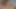 Brezilyalı milf kedi çarptım ve fıtık olsun