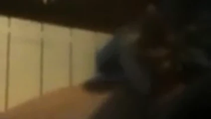 handjob