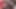 Große fette milf fickt großen schwanz und lutscht