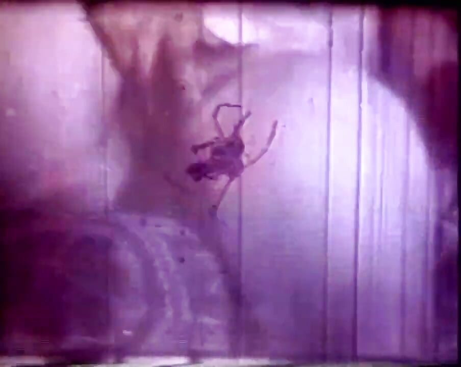 Oldschool porn pt. 5