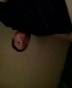 Amature