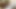 Efsanevi büyük zenci yarağı ile üçlü grup seks yine aynı anda oluyor: orta yaşlı seksi kadın psilo siren sıkı deliklerini iki büyük siyah yarakla siktiriyor