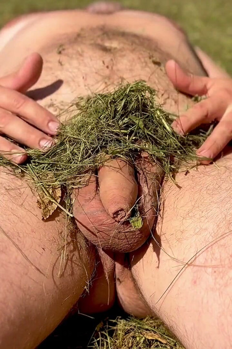 Caressing the Dick, Under the Summer Sun.