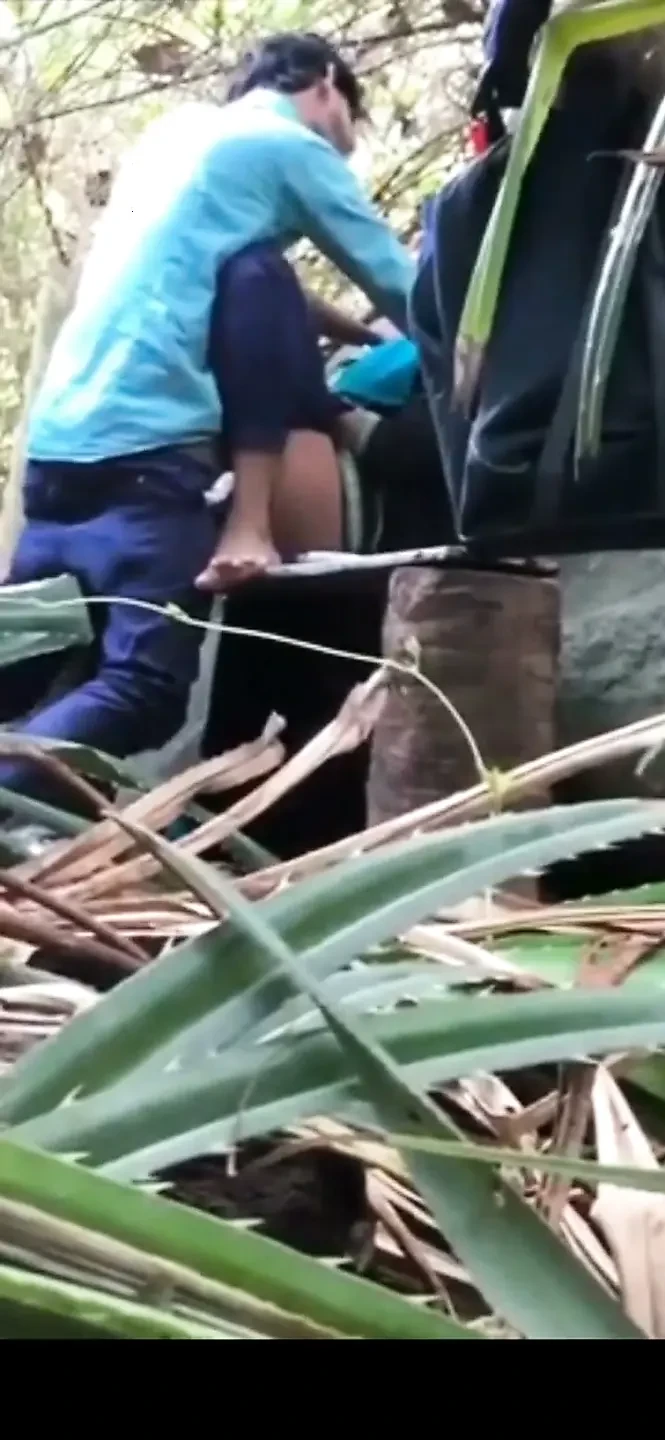 Indian Couples Are Sex in Jungle