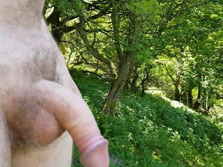 Desnudo en el bosque