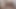 Horny trans loves big cocks. Part 3. She rides like a whore