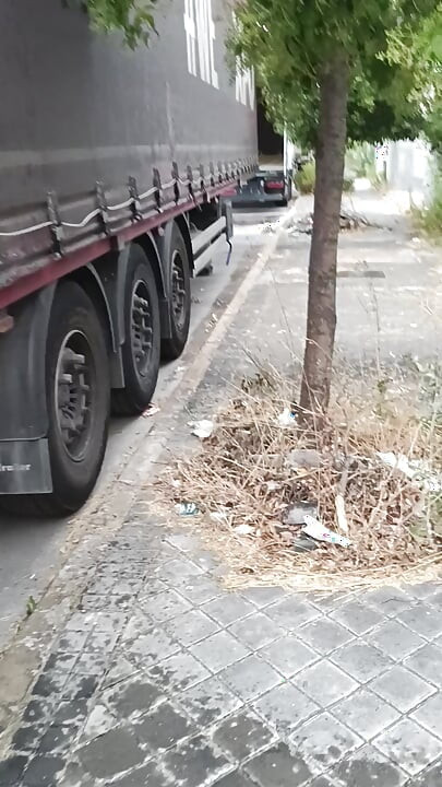 Unacerdaamaricona between trucks in chastity