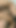 Emotional moment from "STREET FLIRT - Petite blonde teen picked up for anal threesome"