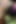 I Was so Horny That I Arrange a Backyard Fuck Date with My Landlords Stepdaughter in Our Backyard. It Turns Out so Smoothly.
