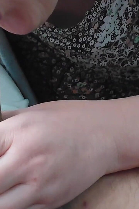 A Woman on a Bus Performed Fellatio on a Stranger.