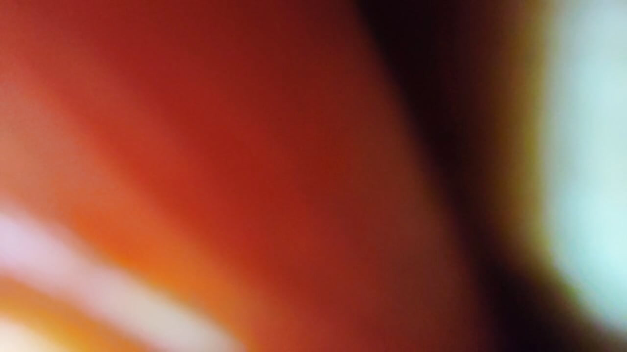 Sex with My African Neighbor