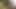 All nude twinks coupling in the woods