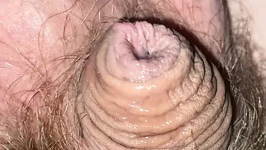 Küçük yarak minik kıllı yarak eller serbest boşalmaya çalışıyor