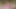 Picnic in Mountains Turned Into Hot Lesbian Sex with Pee Play!