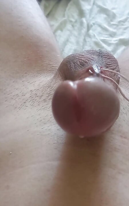 I Put the Headphone Plug in My Urethra and in My Big Cock Piercing Holes. and I Cum Like Crazy Twice.